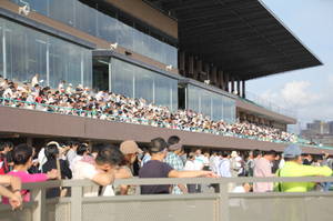 funabashikeiba nitterehai 099.jpg